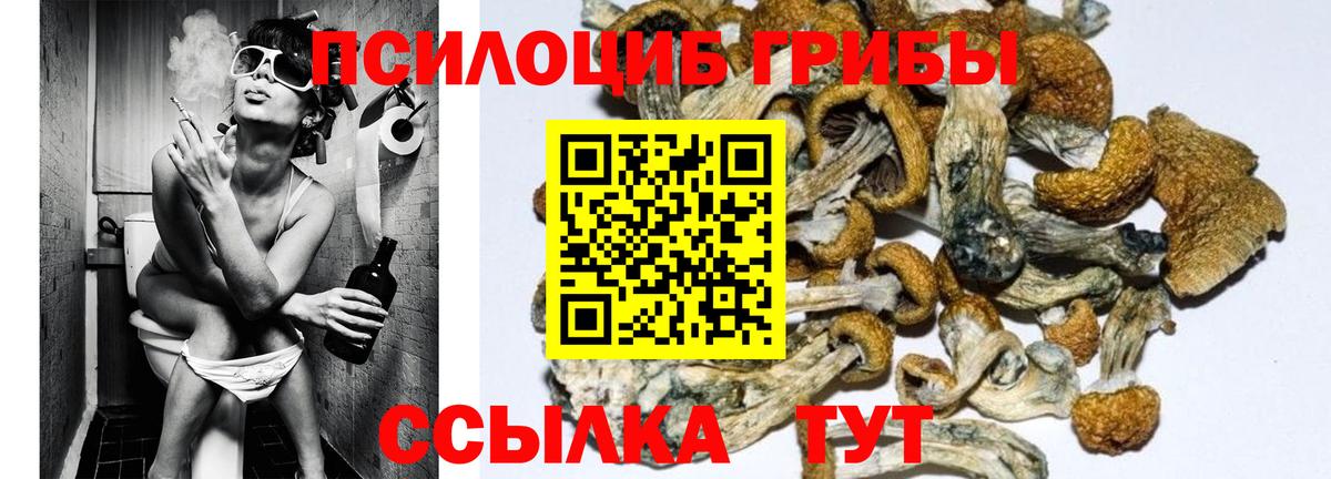 Галлюциногенные грибы прущие грибы Борзя